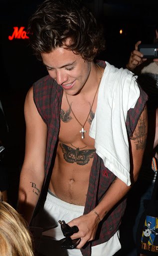 harry styles tummy appreciation thread: