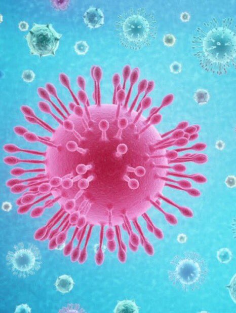 Huntychan as viruses: a thread