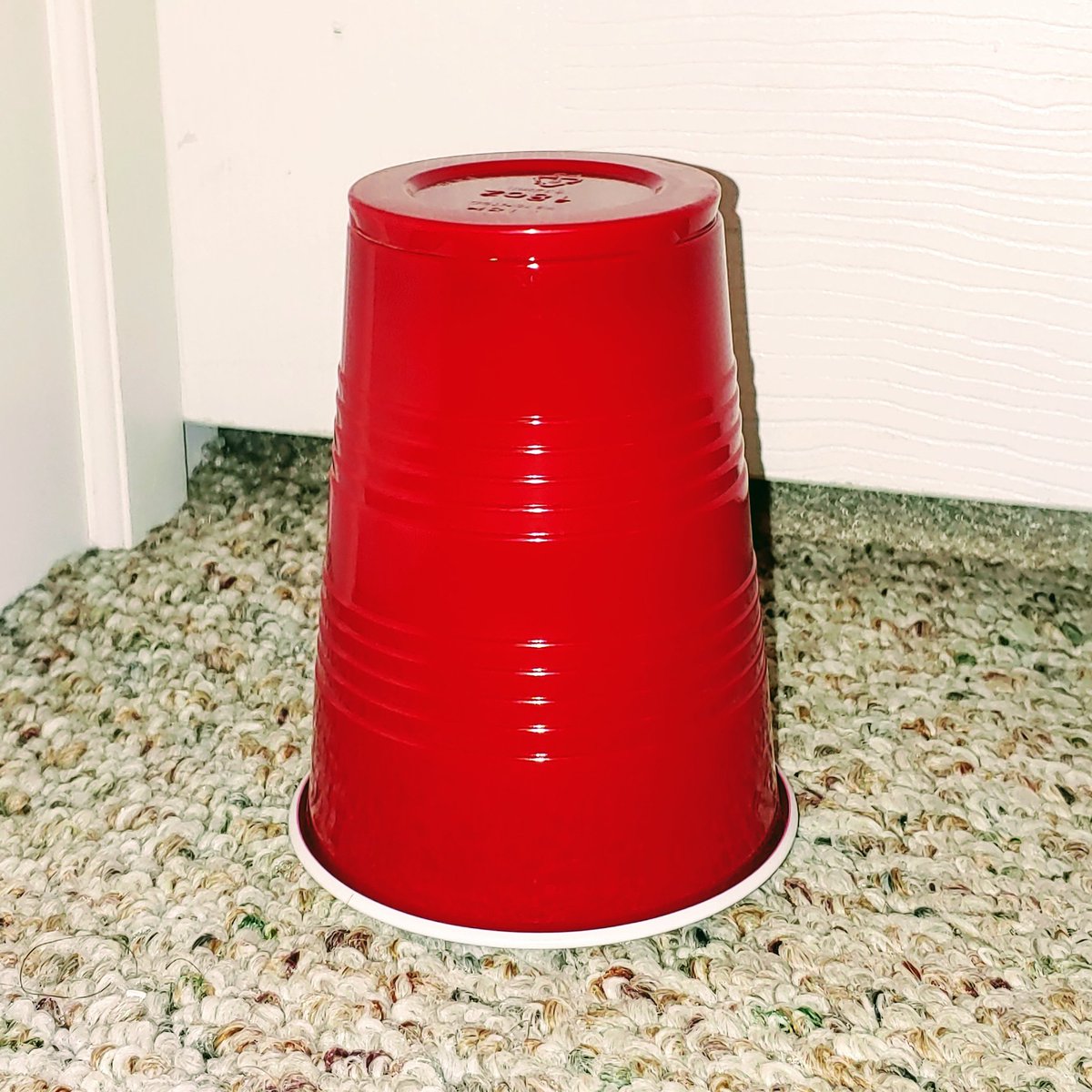 With every family member working/learning from home, there are a lot of #GoogleMeet conferences going on! 🖥️ Our signal is a "red light" 🚨 outside the door to stop others from interrupting. 🤫 <a href="/GoogleForEdu/">Google for Education</a> <a href="/SoloCup/">Solo Cup</a> #distancelearning #NotJustForParties