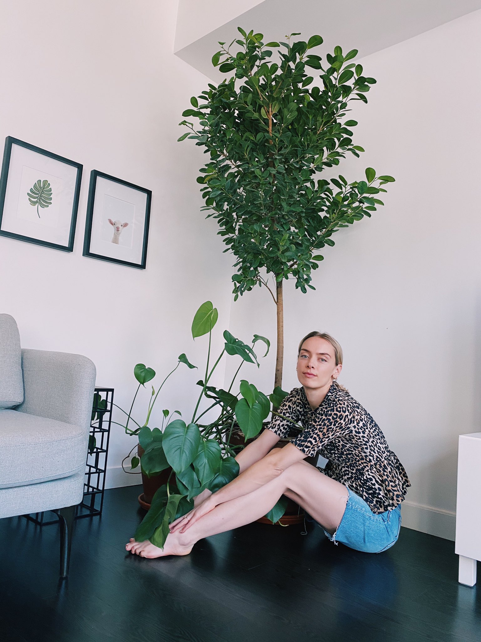 Rachel Skarsten on X: My tree & me. What shall I name her?  t.coozYHlmowFa  X