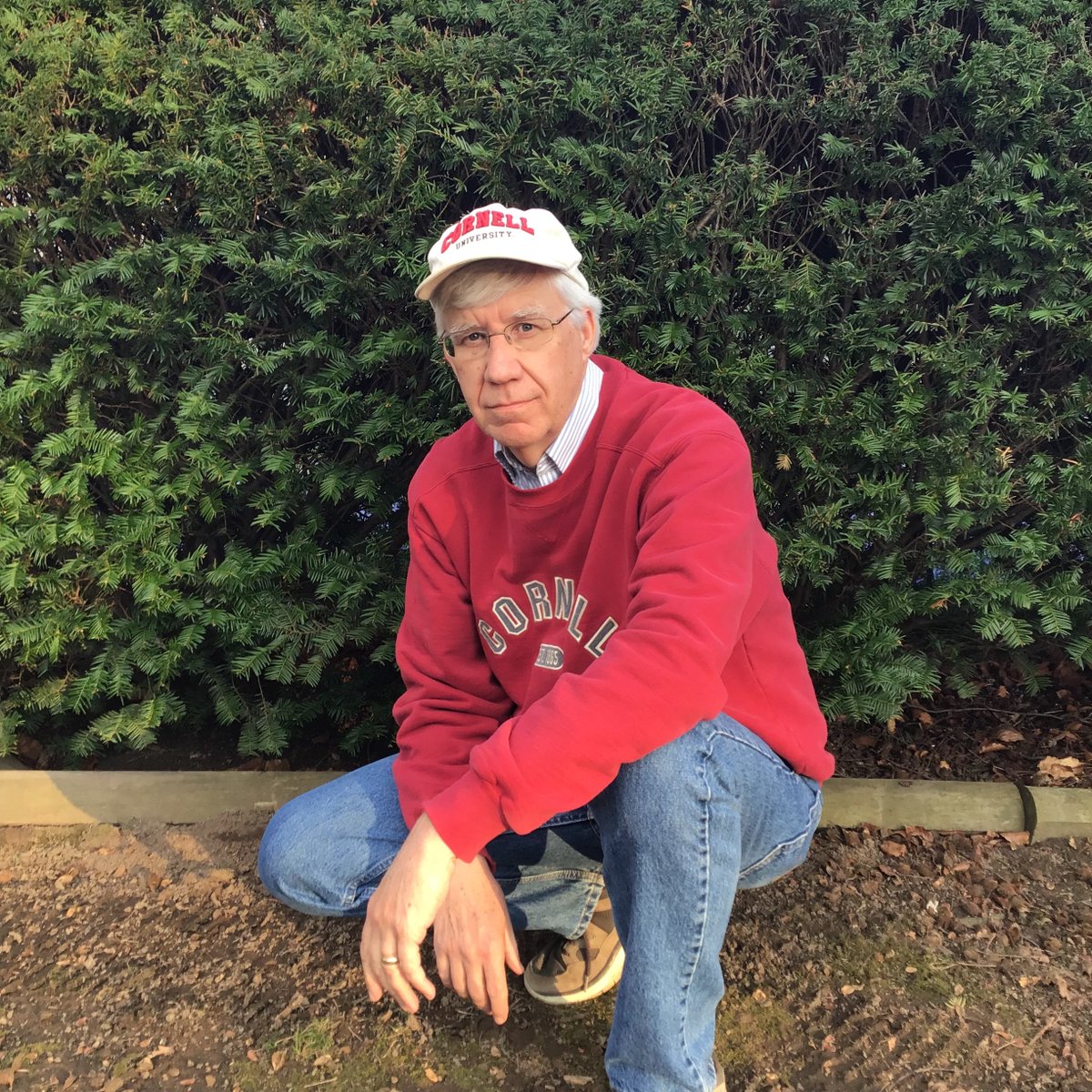 Cornell AgriTech tweet media