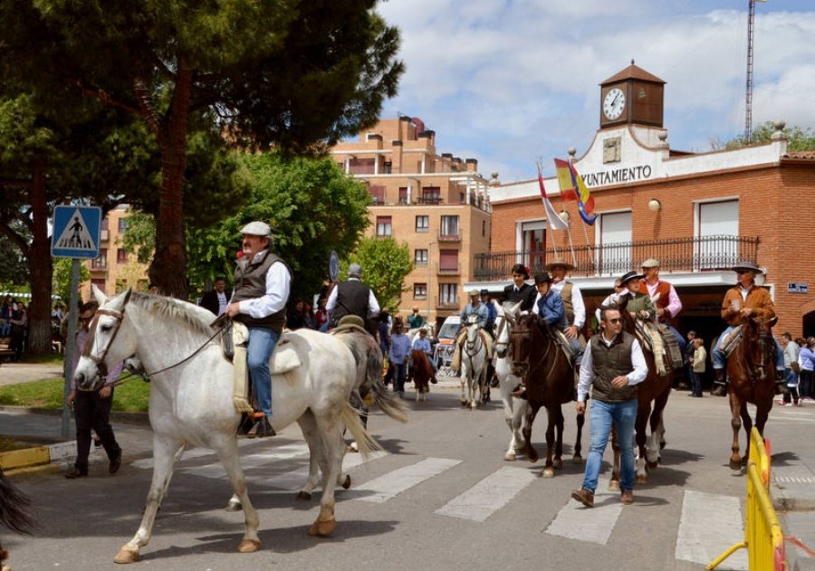 Felpudillo1992's tweet photo. @AytoAzuqueca Finalmente no se suspende el día del caballo de San Isidro !!! https://t.co/9dM28u1Jga