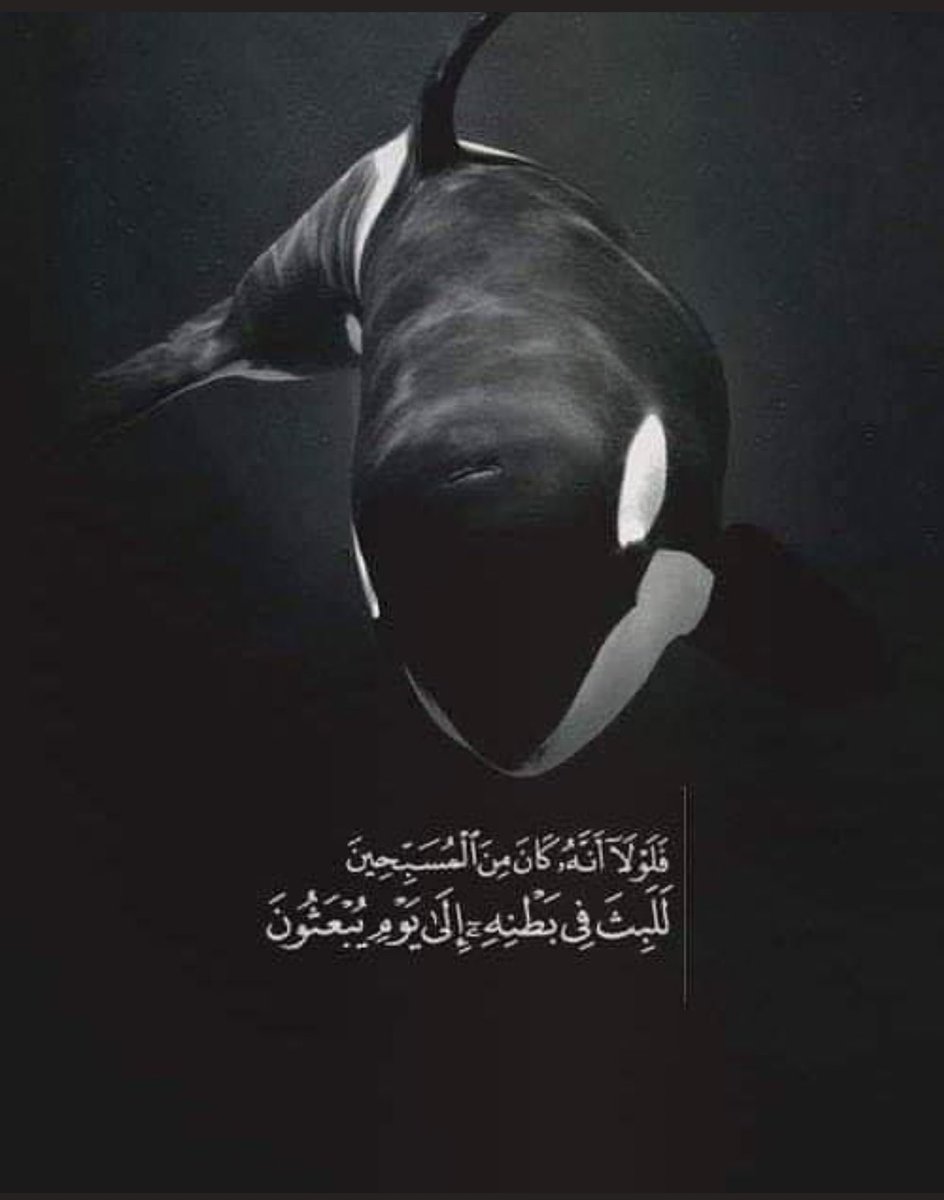 abody_sahab's tweet photo. “ثم يمنّ الله عليك بقوة فلا يهزك غياب أحد ولا تعنيك الأشياء التي كانت تفزعك فكرة خسارتها، ومن كرمه سبحانه ان يعطيك قوة التحمل والبرود التي تجعل كل العواصف تمُر دون أن تُثير فيك شيئًا.” https://t.co/5Kb7VMFjyj
