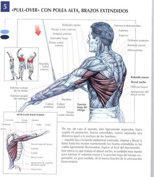 medifisik's tweet photo. Recomendaciones para #rutina de #espalda.🏋️‍♂️
También tenemos  #asesoría de #Entrenamiento y #rutinas de #gimnasio para que aproveches al máximo tu entrenamiento. @medifisik

#fitness #fitspiration #fitnesslife https://t.co/OMUaOgEfC1