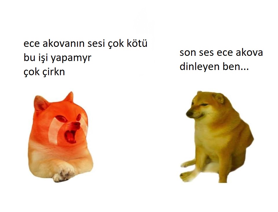 akovadogs's tweet image. 