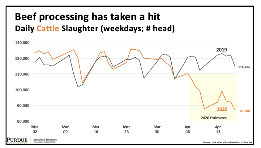  #Beef processing has taken a hitDaily  #Cattle Slaughter (weekdays; # head)