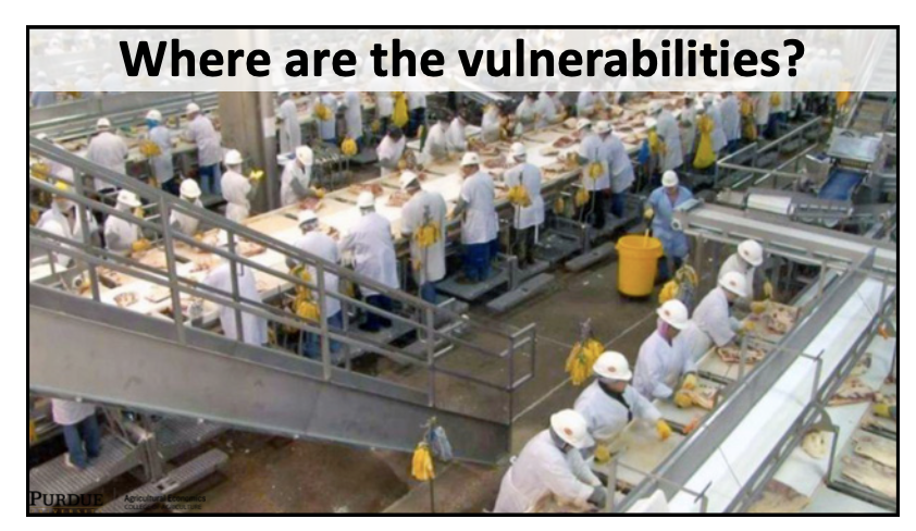 Where are the vulnerabilities?