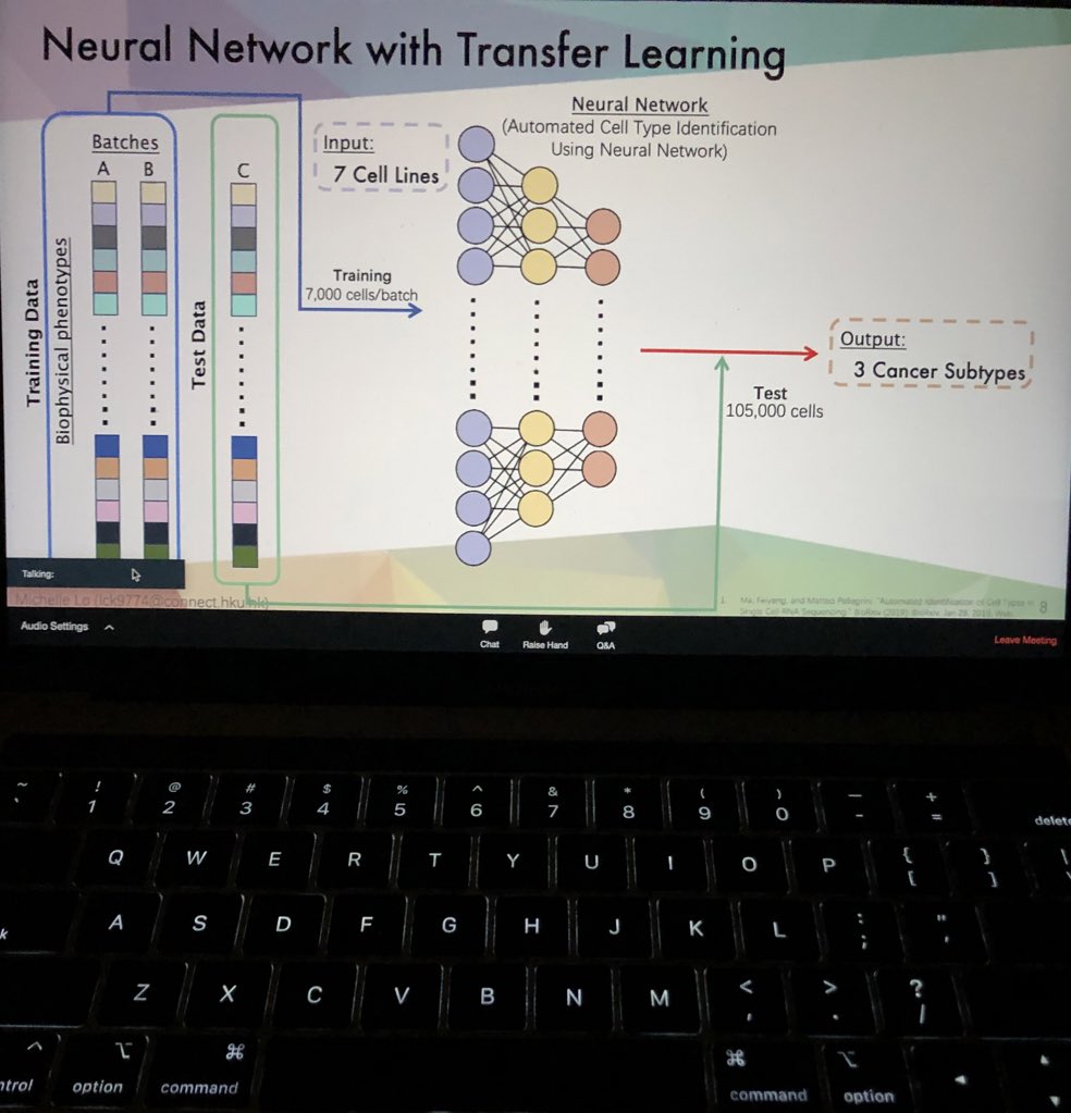 kevin_tsia's tweet photo. Watching live talks of #OSABiophotonics20 midnight with my beer and my group (with #SocialDistancing), and supporting my student’s talk on transfer learning to combat batch effect in #labelfree QPI cytometry. #quantitativephase #cytometry #DeepLearning https://t.co/YxxYqCF5y5