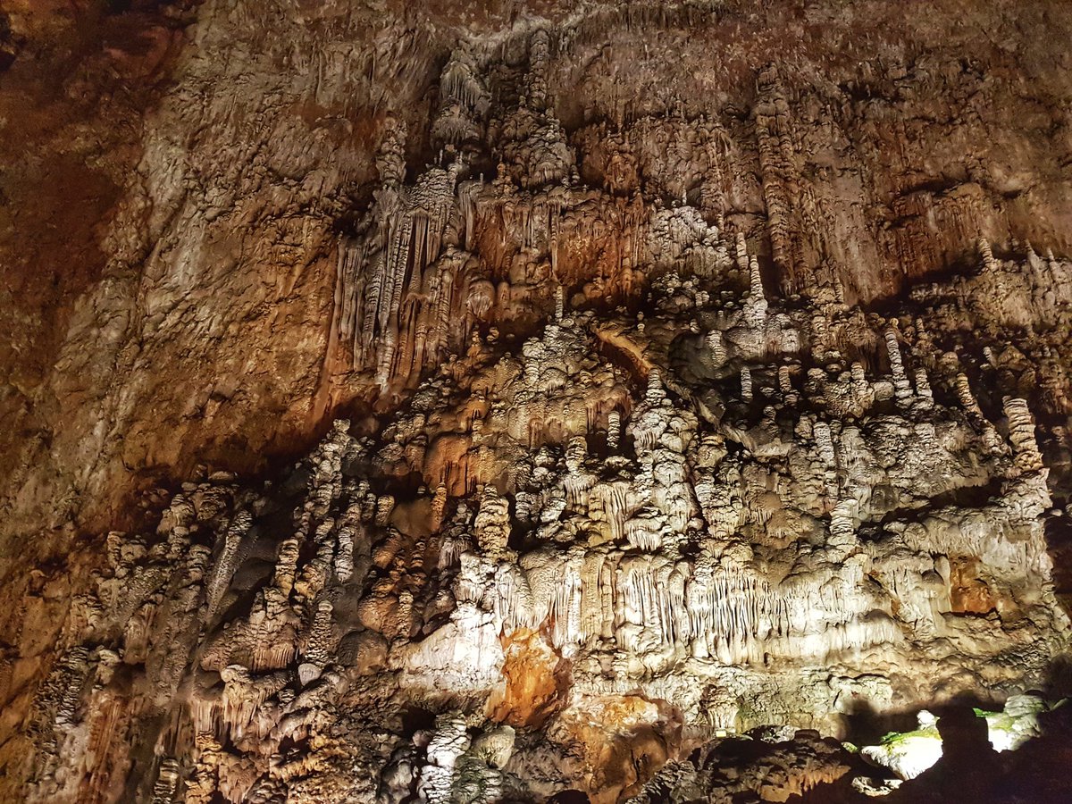 GiuliaTurchetto's tweet photo. "La grotta è la montagna che sbadiglia." (Ramón Gómez de la Serna)
(Trieste 2017)
#IoRestoAcasa #IoRestoAcasaMaViaggioConLaMente #ViaggiaInsiemeAme #iViaggiAiTempiDelCovid19 #TorneremoAviaggiare #Trieste #GrottaGigante #Natura #MondiNascosti #FriuliVeneziaGiulia #FVG #Italia https://t.co/Dwr0uchXTn