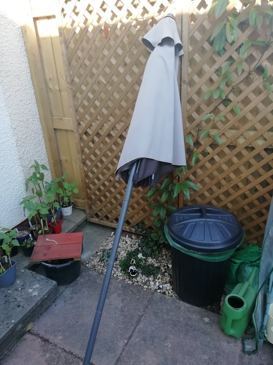 MattWaring3's tweet photo. Hey @mywhitchurch @mycardiffnorth anyone missing this from Silverbirch Close or Heol Gabriel? It actually flew into our garden in yesterday's winds! https://t.co/tSggPinwKJ