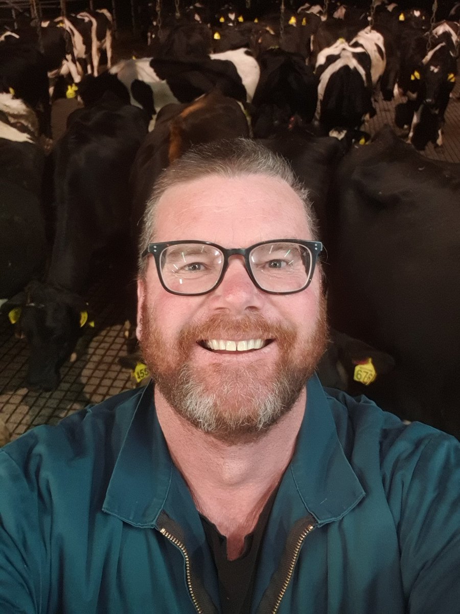 dairymanNZ's tweet photo. #IsolationBeard Day 28: The Fluffening https://t.co/nVpnnubcXl