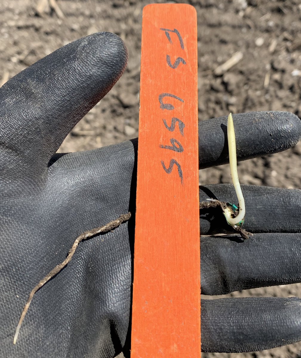 Seth Geisler tweet media