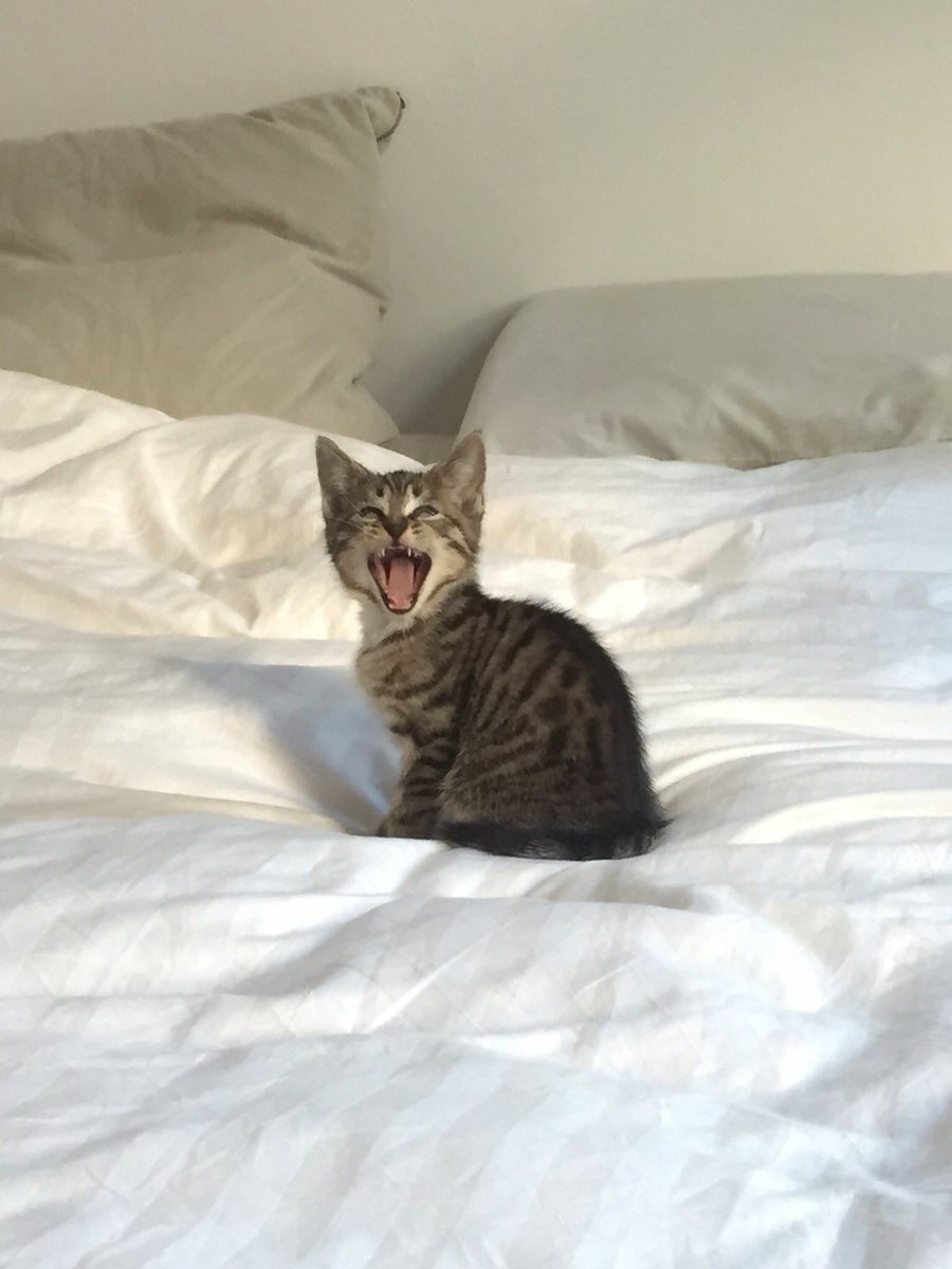 อ้วนกลับมาแล้ว เค้าดีใจมาก!!!!!!!!