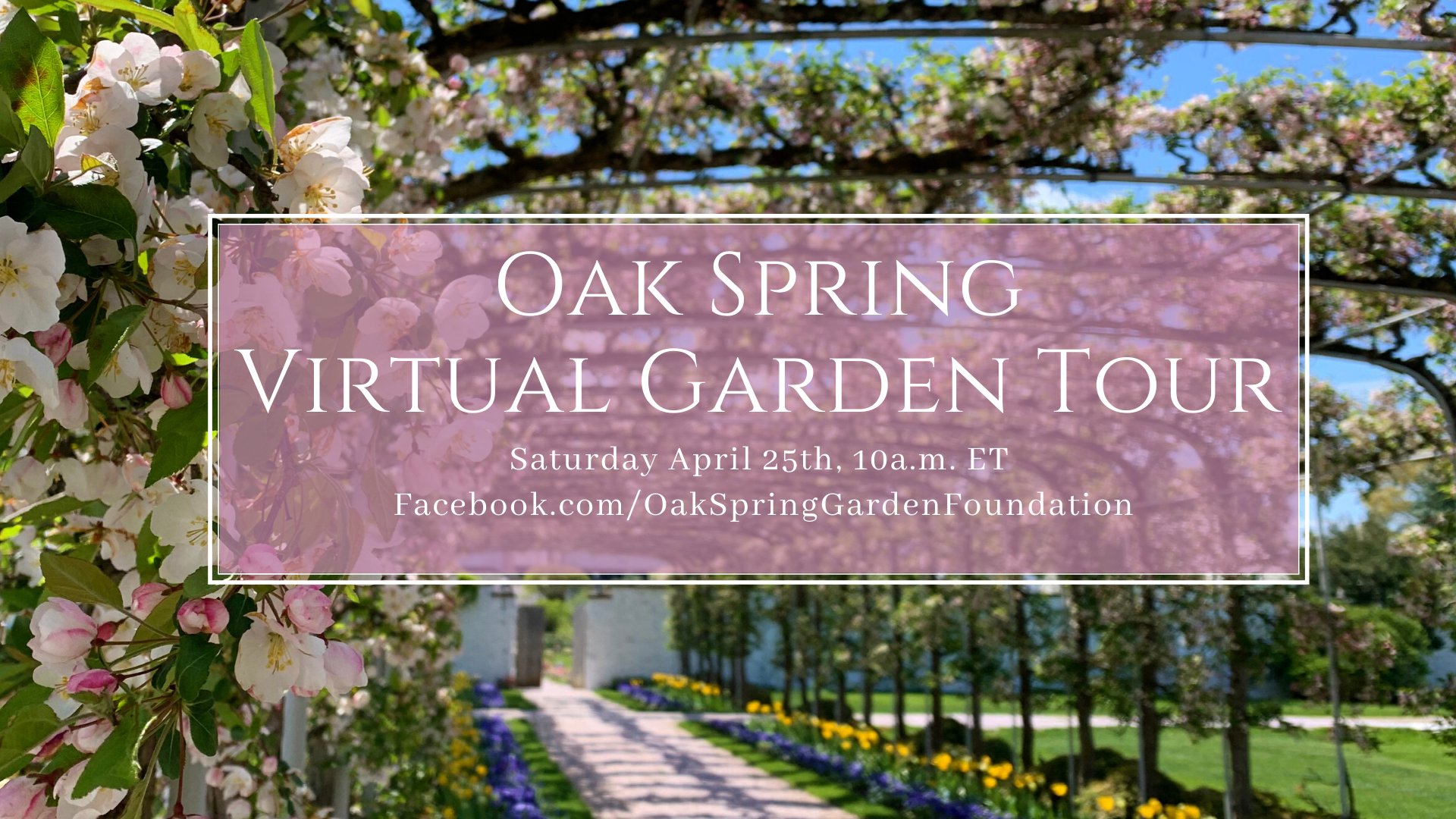 Oak Spring Virtual Garden Tour 