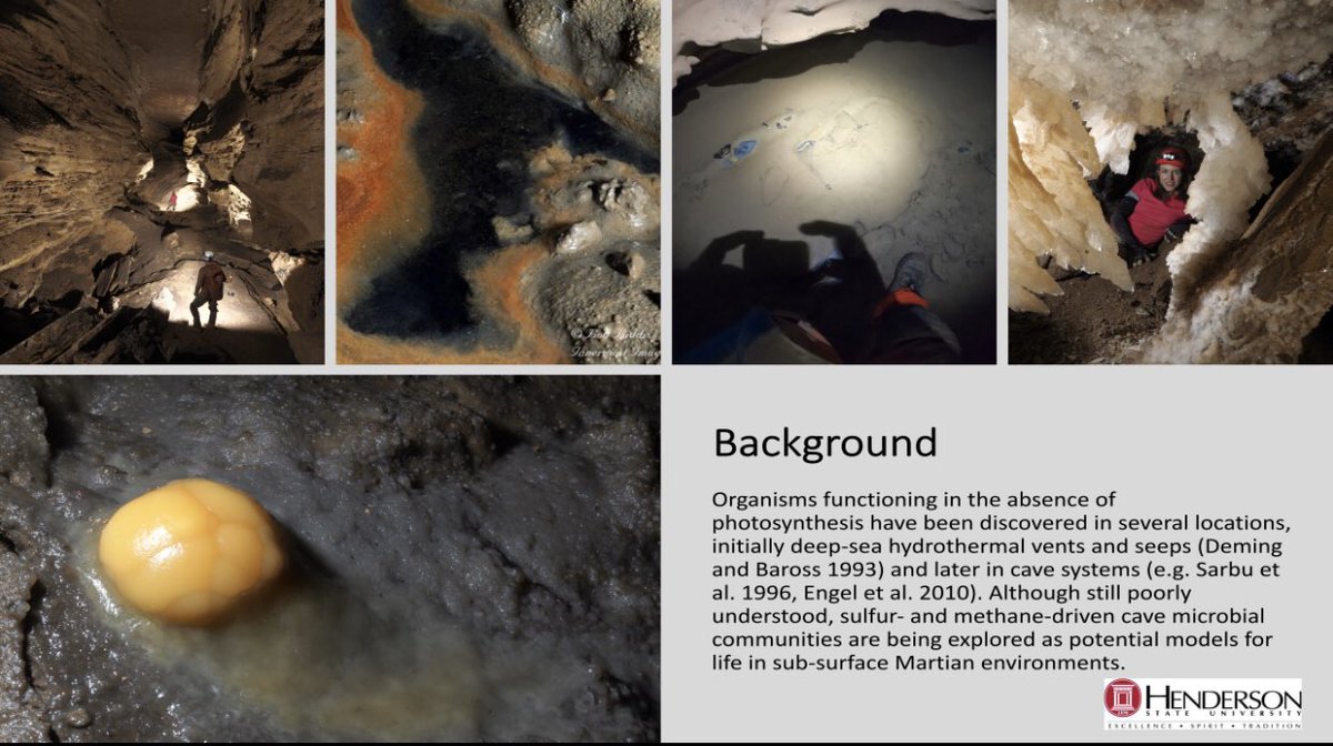 LAURENCAMP__'s tweet photo. We explored microbial samples of a cave system in Tennesee. We identified unique bacteria including species that metabolize sulfur and methane coumpounds. The results provide insight to the previously suggested model for life in subsurface Mars. #POH2020 #POHGoesVirtual https://t.co/ayp2KQebog