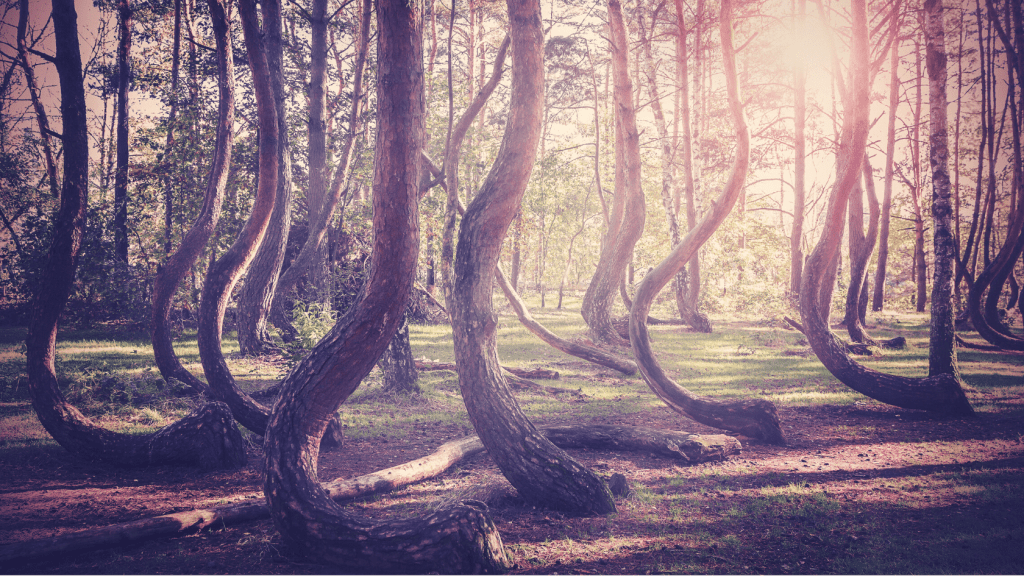 RafaelVzBlog's tweet image. Fluir con tus circunstancias rafaelvz.blog/2020/04/21/flu…