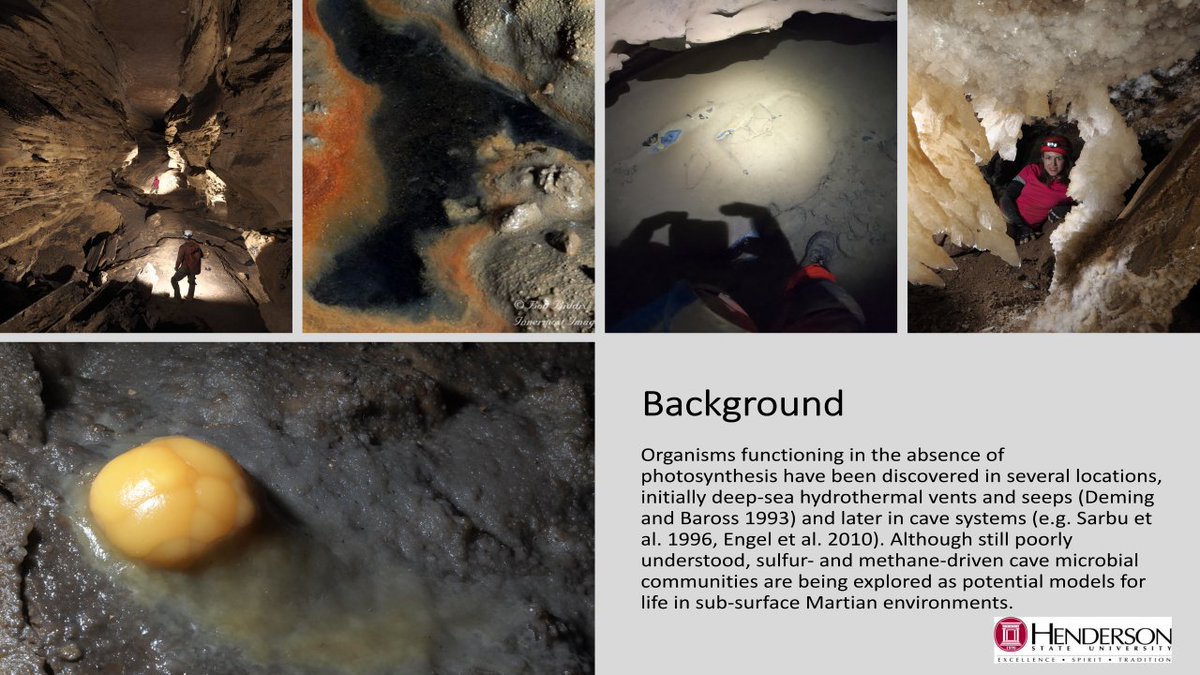CecilyRodz3's tweet photo. Check out our research on a biological community in a unique Tennessee cave where petroleum rises. We have identified 496 diffent types of bacteria including unique chemoautotrophic organisms that show characteristics of deep-sea hydrothermal vents. 
 #POH2020 #POHGoesVirtual https://t.co/fPalK7mxKo