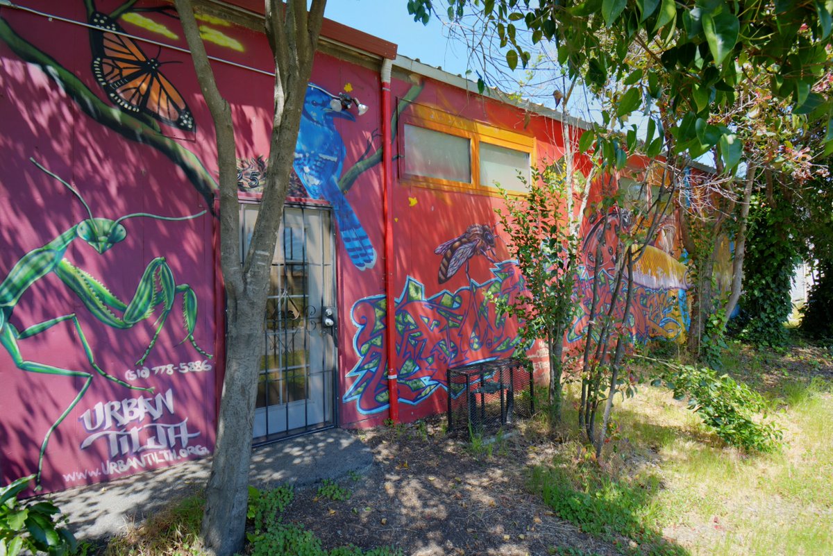 Seen at Bridge ArtSpace - the mural "Abundance" created by the Community Rejuvenation Project - on the side of the FilmSpace building on South First Street. bit.ly/3eurtp4  #bridgestorage #richmondca #mural #publicart #crpbayarea
