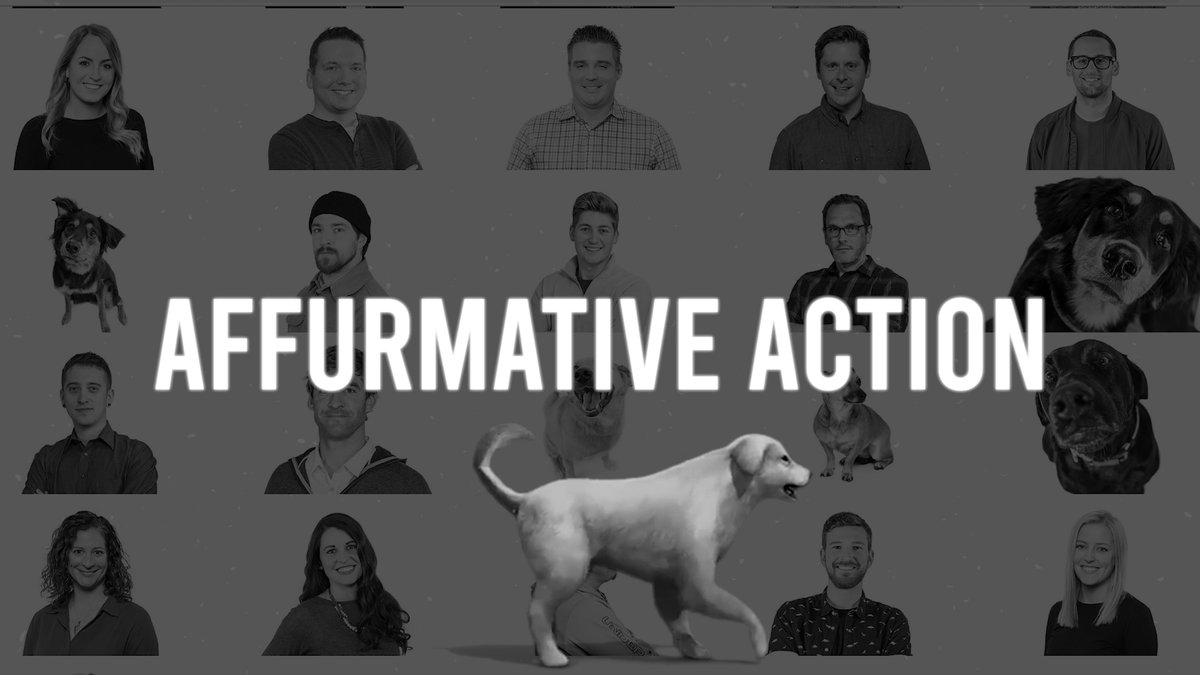Affurmative Action (documentary short): This film looks into the "Meet the Team" pages of several advertising companies who proudly show off their dogs as members of the staff and yet employ zero people of color. Woof.Director: Travis Wood