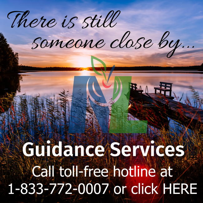 NLSchools tweet media