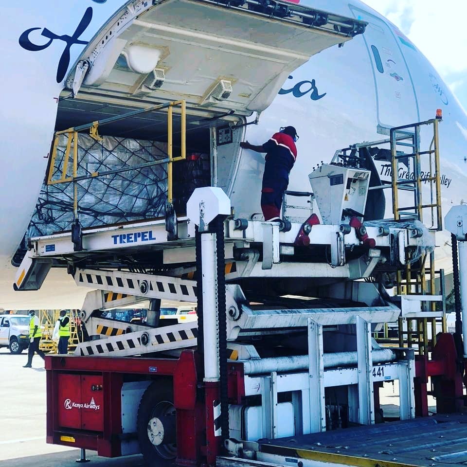 akenyaaviation's tweet photo. KQ cargo.. https://t.co/LIymVy6Sqq