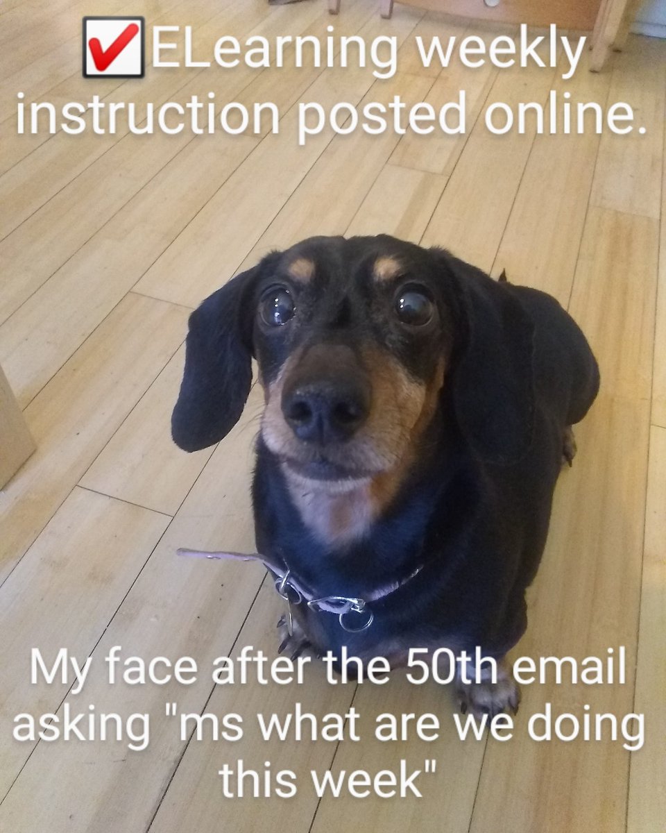TLMarkides's tweet image. It's been a tough week 🤪
In class: kids bring me their work and ask for help.
Online: they email "HELP!"
Am responding with prompts to help them develop effective emailing skill:
1 read post carefully
2 copy & past confusing parts
3 what specifically do you need help with