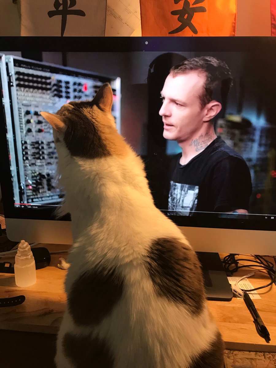 KoriLCarothers's tweet image. Taking the @masterclass with @deadmau5  and what happens ... this !! 👇 This girl has to be a part of everything I’m doing! #musicianlife #WhatIlearntDuringLockdown #whattododuringquarantine