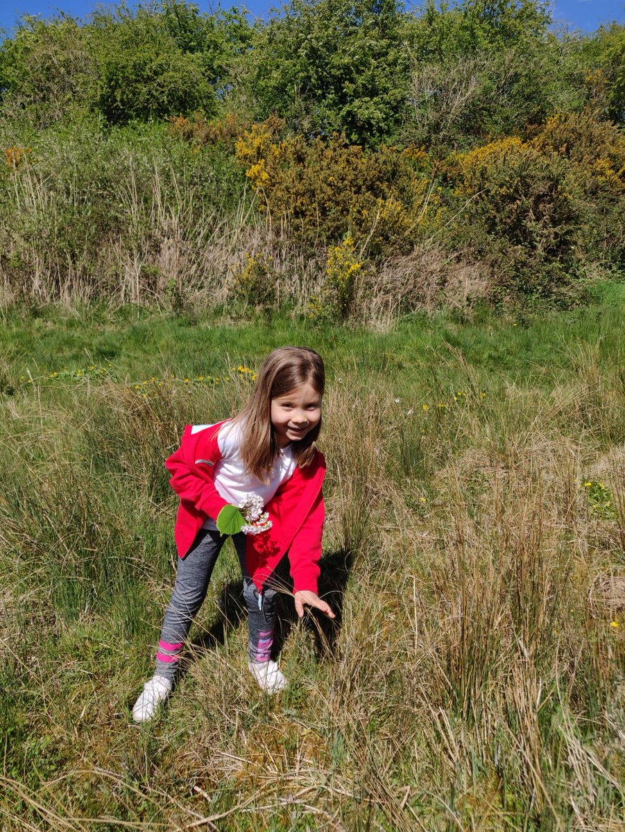 darrentracey's tweet photo. @SaightonPrimary today Olivia’s been forest schooling and creating her aquarium. https://t.co/VSUa7iVMMr