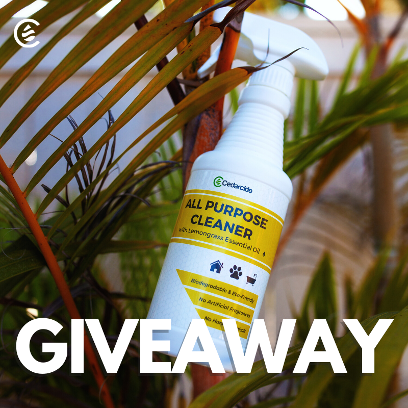 realcedarcide's tweet photo. Want to try our All Purpose Cleaner? Just RT and follow to enter our giveaway! Spring into your cleaning with our Lemongrass All Purpose cleaner!π»βοΈπ
US Residents only
Ends 4/28/2020
#Giveaway #free #win #rt #cedarcide #Quarantine #QuaratineLife #follow #cleaning #natural https://t.co/VcVSFU2z50
