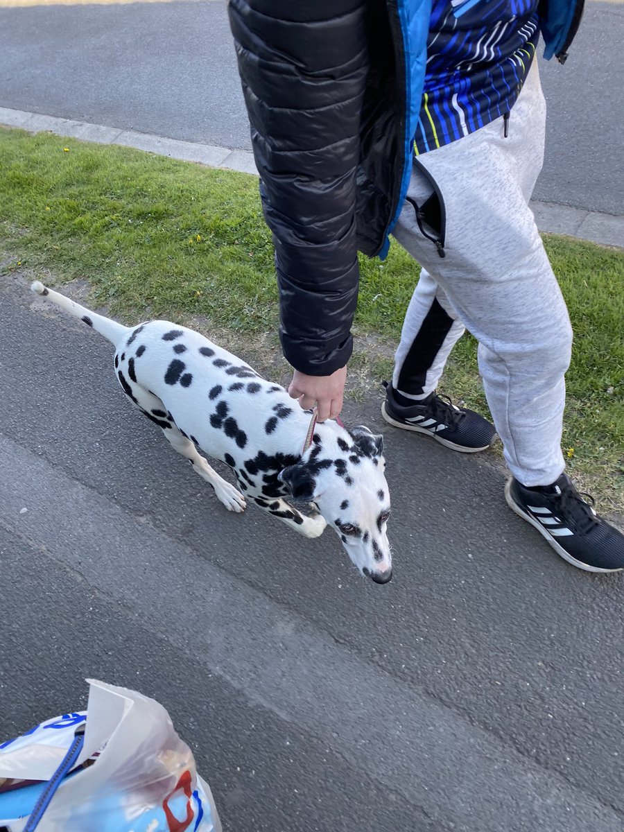 eboothio's tweet image. A dog’s lead.  
A short tragedy (2020)