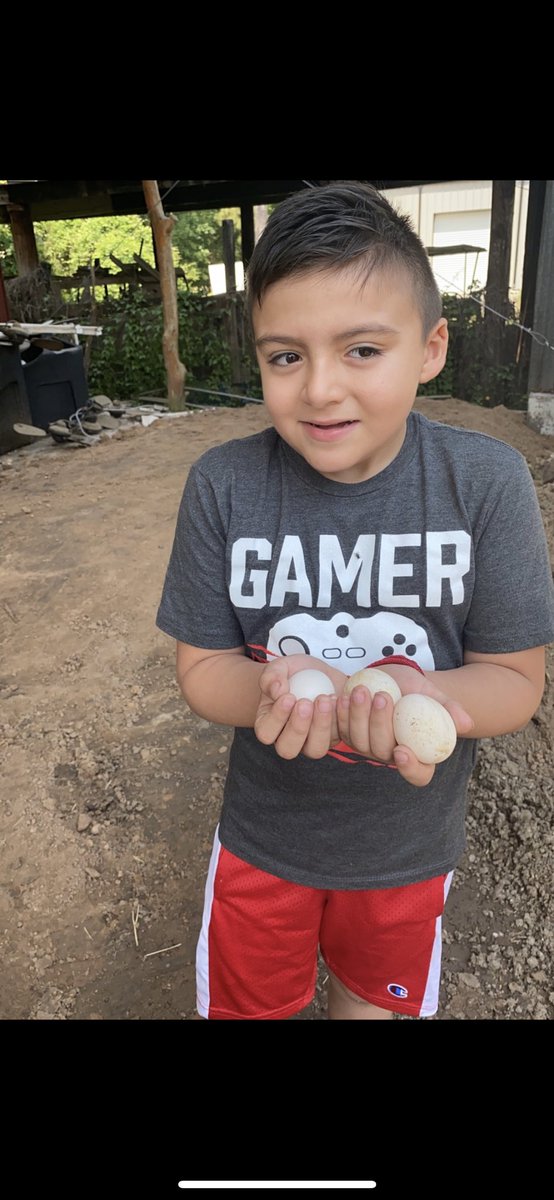EvArmCer's tweet photo. So Sebastian got a rooster &amp; chicken right when the whole crisis started. Now we don’t have to worry about buying eggs. #COVID19 #Homegrown #organic https://t.co/vfJqbk5mXh