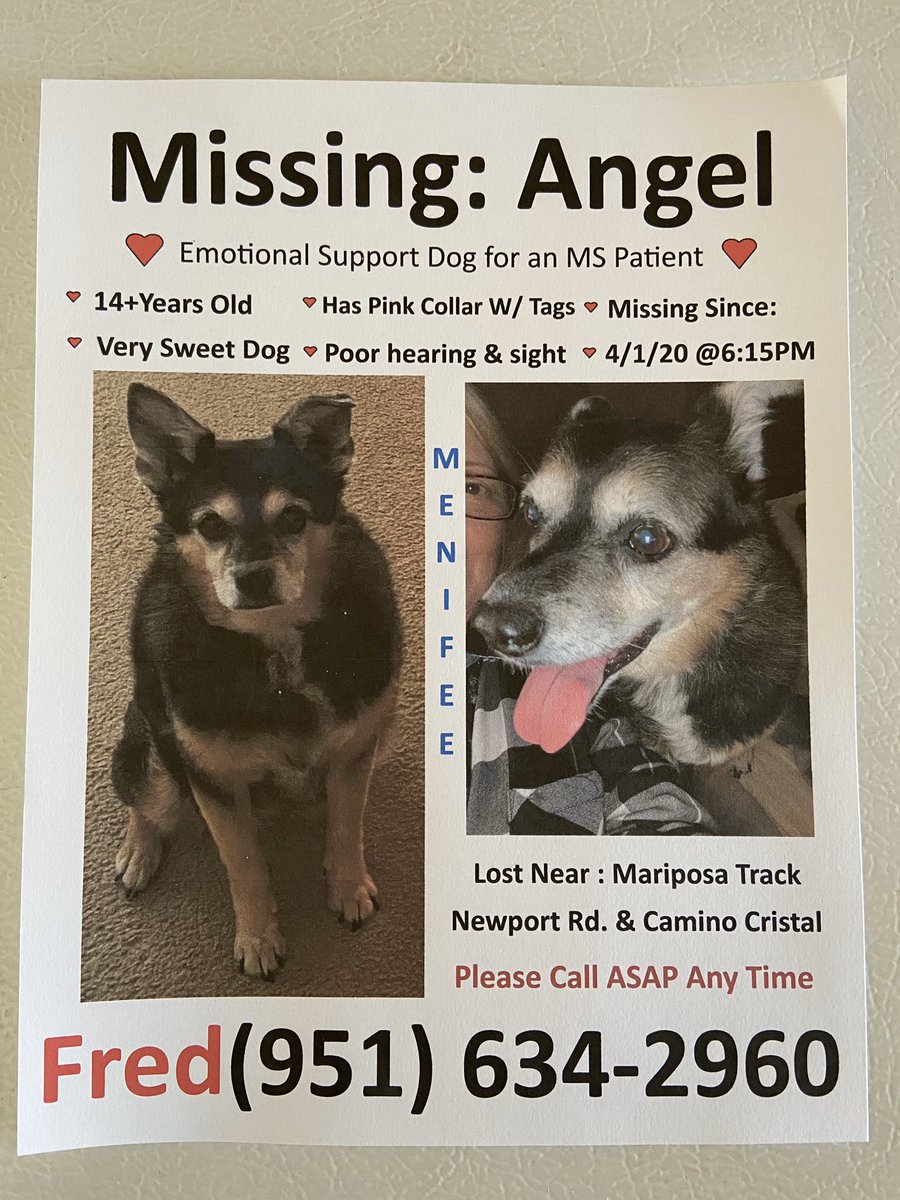 rynofschmidt5's tweet photo. Everyone in the Menifee area please help find her! She Went missing 4/1 Last seen on Newport Rd. between Menifee Rd. And Lindenberger. If you have any information please call (951)634-2960. https://t.co/OTfHloHmxj