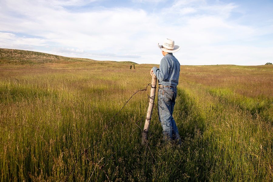 ackermangruber's tweet photo. These open spaces look so inviting right now. We had a blast exploring the Sandhills region of Nebraska for this travel story.  We can still almost feel the grasshoppers bouncing at our feet as we explored the pasture on this family ranch. Photographed for Midwest Living. https://t.co/BztfKTKEt8