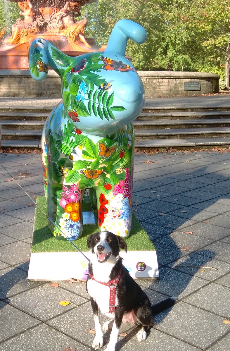 @BenJamesPhotos <a href="/ThePhotoHour/">#ThePhotoHour</a> @LensAreLive #BENPC Laughter. Here's my daughter's dog Molly, who we walk and dog sit. This was taken at the local park at the time our town was running the <a href="/AshfordSnowdogs/">Ashford Snowdogs</a> trail, here's one of the Snowdogs. 

Molly is the sweetest girl, we have so much fun and laughter with her.