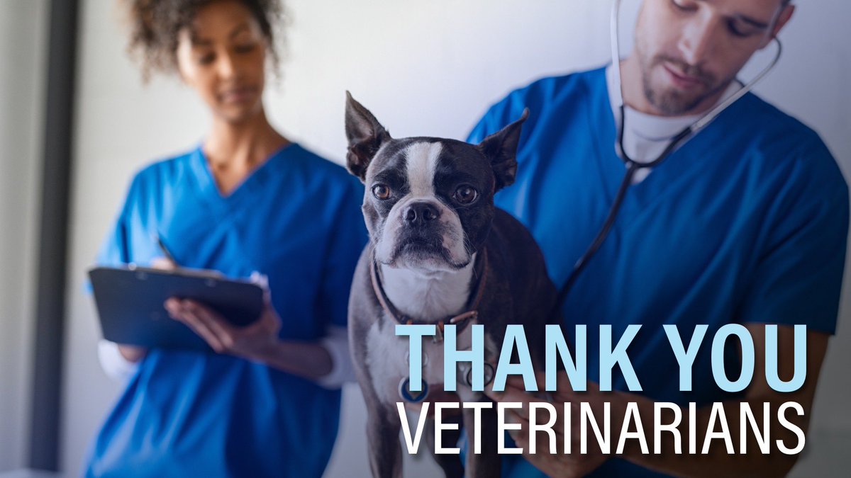 fordnation's tweet image. Thank you to the hard working veterinarians who continue to provide care to Ontario’s animals during #COVID19. Our pets are helping Ontarians get through this difficult time. Thank you for keeping our best friends healthy!