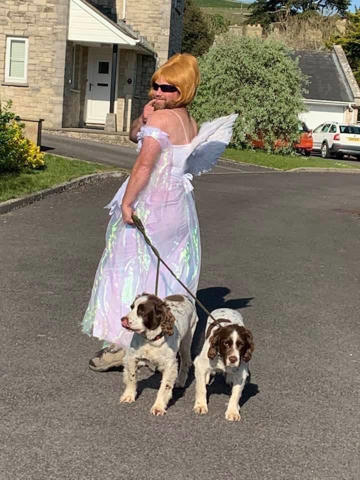 Steve is looking very angelic today for his dog walk   #stevesdogwalk