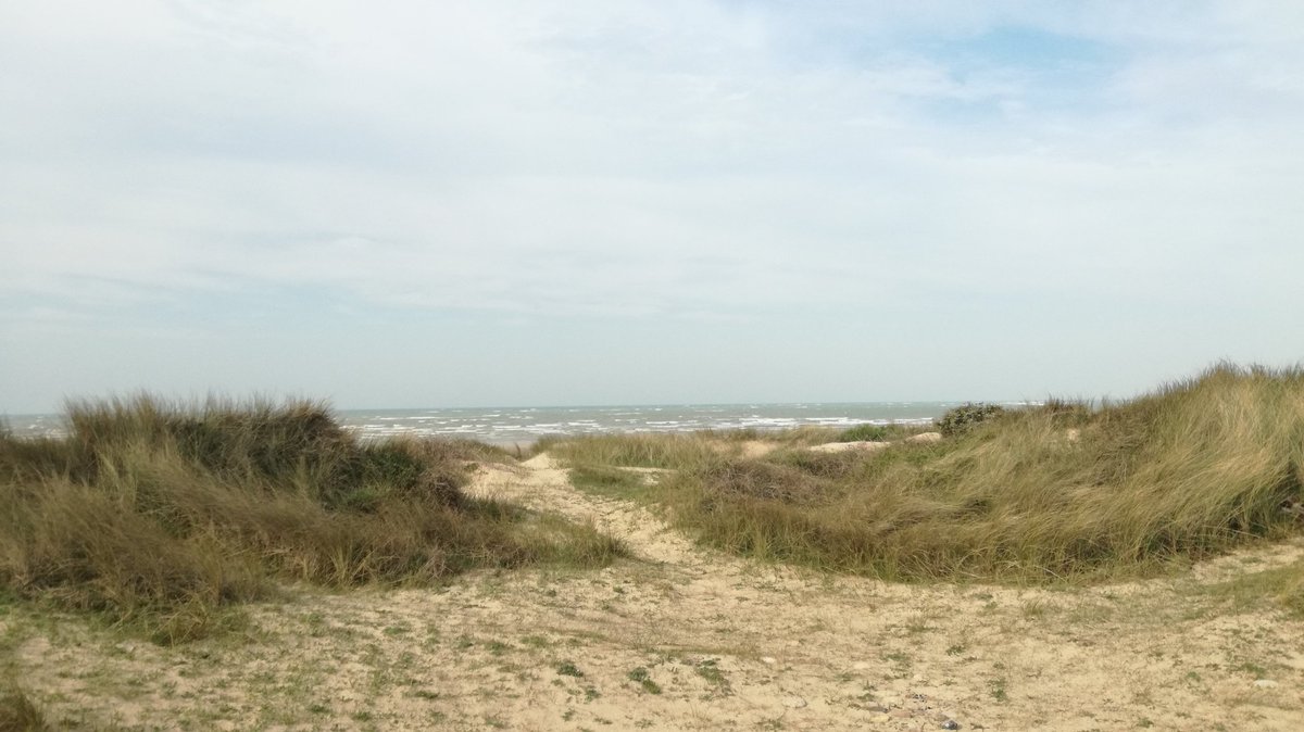 PVCourseulles's tweet image. On vous partage quelques images de notre Côte de Nacre et du printemps  @TerresdeNacre , nous pensons à vous chers clients et nous espérons vous revoir très vite  ❤❤ en @Normandie @GroupePVCP @Pierre_vacances