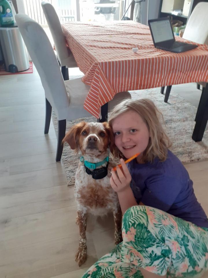 Sharing our pets and favorite colors for #JMSspiritweek. (2)