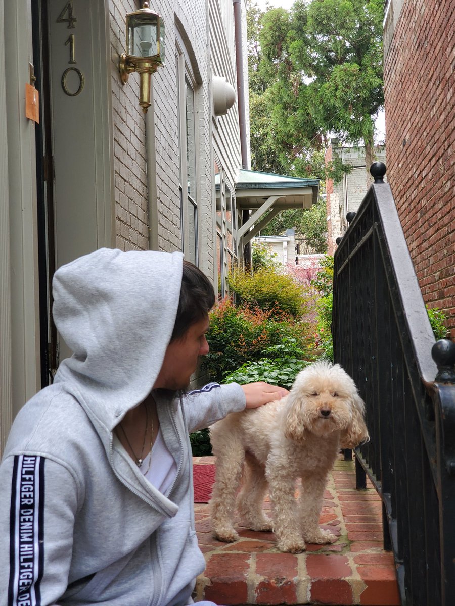matt_helfer's tweet photo. My quarantine buddy 🐕 https://t.co/fhydJtFy1l