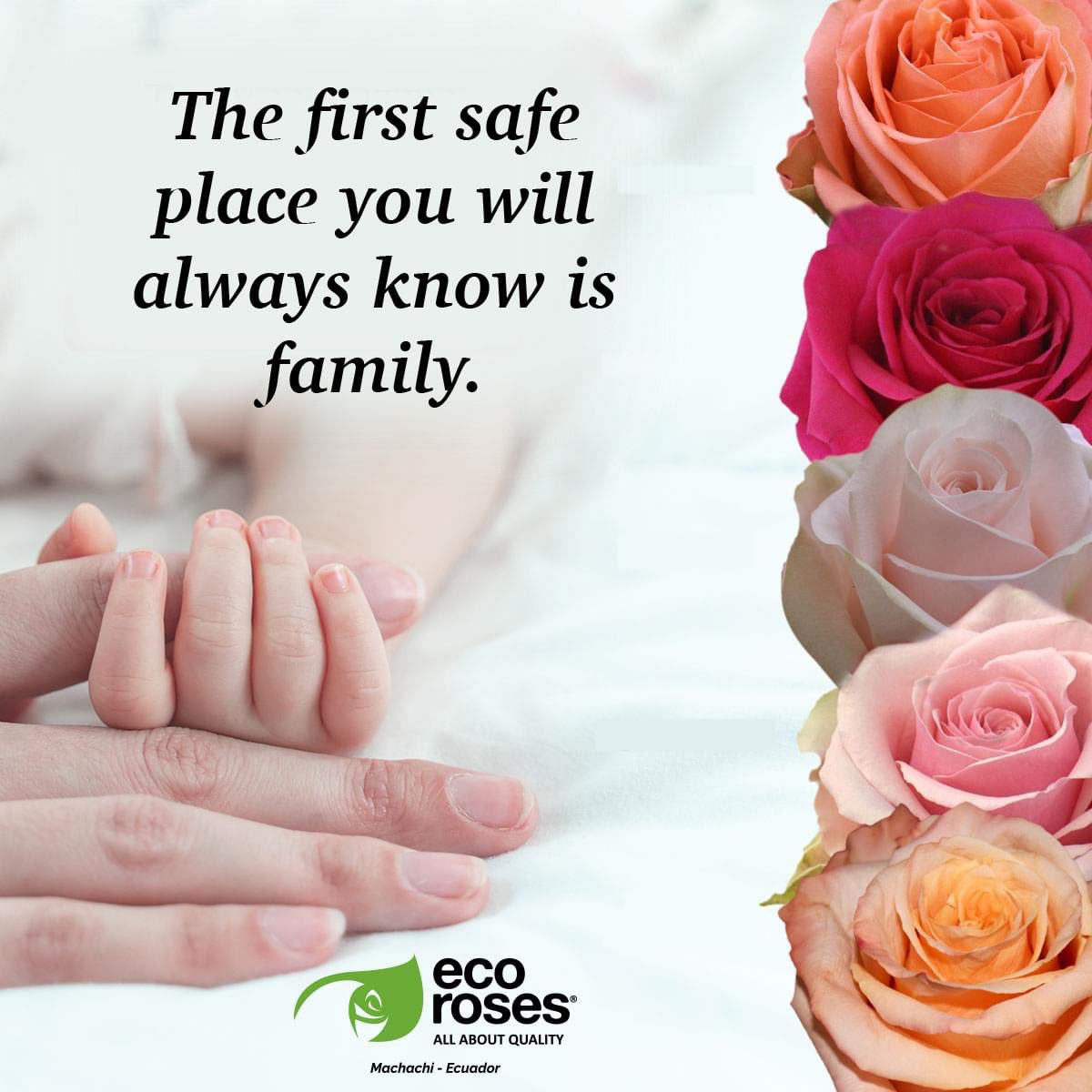 EcorosesSA's tweet photo. Protecting them must be your priority!! 👩‍👩‍👧‍👦 #StayHome #MothersDay #AllAboutFamily #Love #AllAboutQuality #Rose https://t.co/UbW7zWUe7q