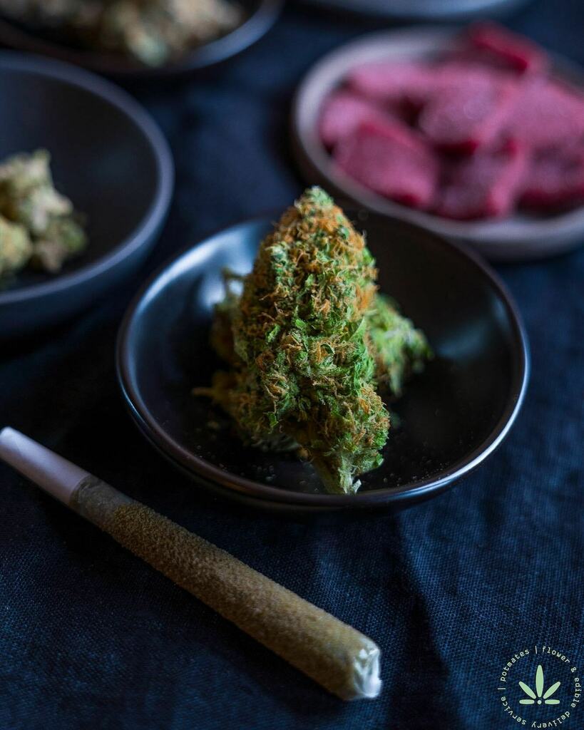 PotMatesPDX's tweet photo. Day one ✅ We’re still celebrating 420 all week long 🍃
•
•
•
#cannabiscommunity #potmates #potmatespdx #potmates503 #medicalmarijuana #oregoncannabis #entrepreneur #medicalmarijuana
#hightimes #portlandpot #maryjane #khalifakush https://t.co/Or6xLtorkw