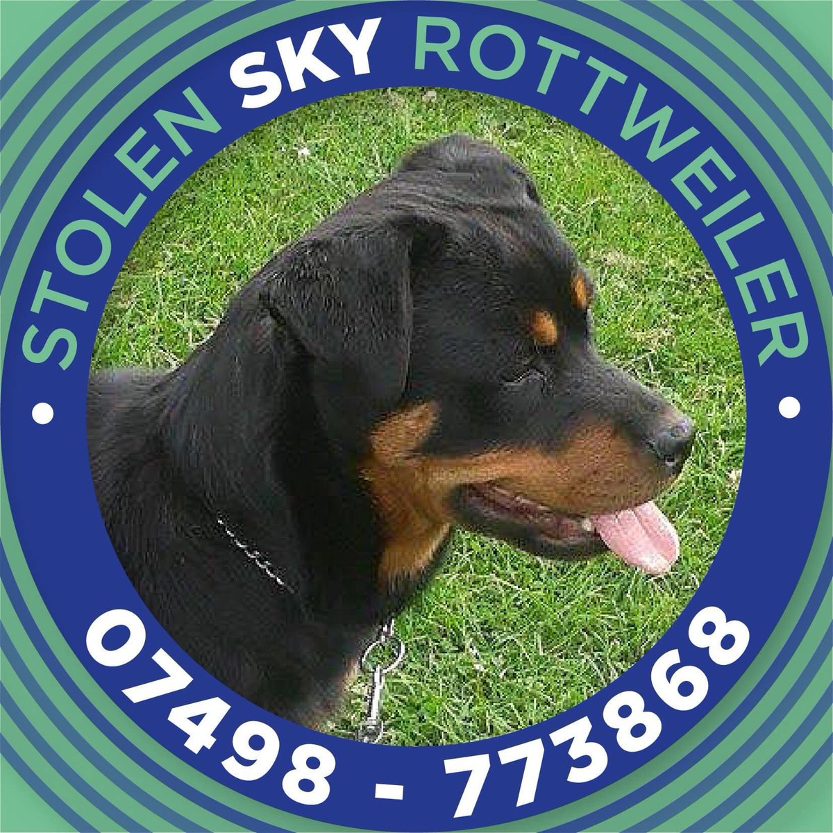 #getSkyhome SKYS BEEN WAITING since 2/12/15 to be scanned
YOU can help make this happen ⬇️
Takes a few minutes...you need to check emails to confirm 
🌷SKY SAYS TY X

Petition: Fern’s Law: Compulsory to scan & check microchips to reunite stolen dogs, cats. petition.parliament.uk/petitions/3000…