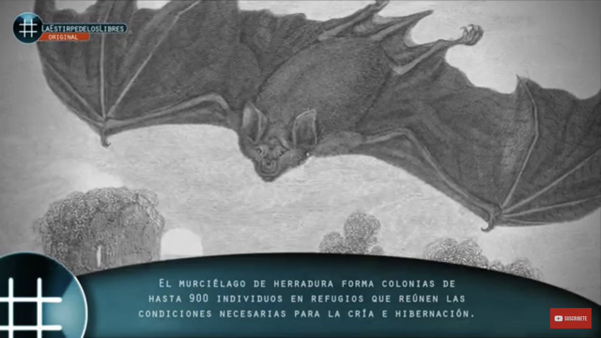 delosquinosAzca's tweet photo. #LaEstirpedelosLibres 
El laboratorio 2 a 277m del mercado #Chino de #Wuhan y el porcentaje del ya conocido Coronavirus #Bat2  #武漢 https://t.co/LwzR6F66gO