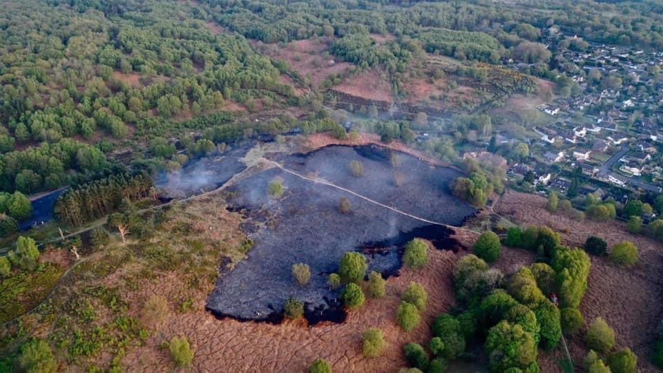 RoseyHampton's tweet photo. SO heartbreaking to see the beautiful #CannockChase in flames tonight 🔥💔 Well done to the amazing crews that put it out 🧑🏽‍🚒👩🏽‍🚒🙌🏼 https://t.co/RcD92b8vln