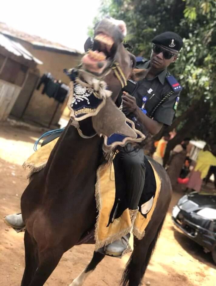 RangerChima tweet media