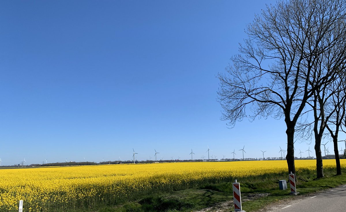 schikopdeweg's tweet photo. Even de bus stil zetten om een foto te maken #natuur #Delfzijl #jammervandepaaltjes https://t.co/HKbylcTrxf