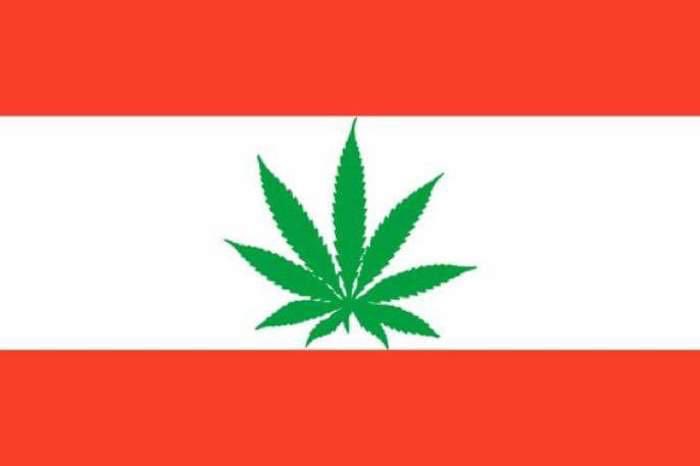 dargham's tweet photo. Lebanon legalizes cannabis for medical use
لبنان يقر مشروع قانون يسمح باستخدام القنب للأغراض الطبية والصناعية #redhash #حشيشة #marijuana #cannabis https://t.co/OueROQcnb1