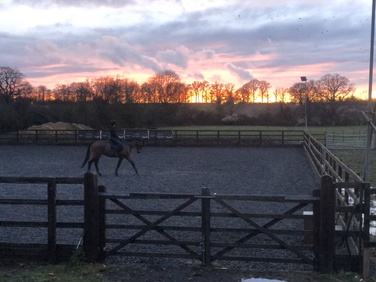 Stunt Equestrian in the spring time! We are lucky isolating here! 🙌🏻👌🏻