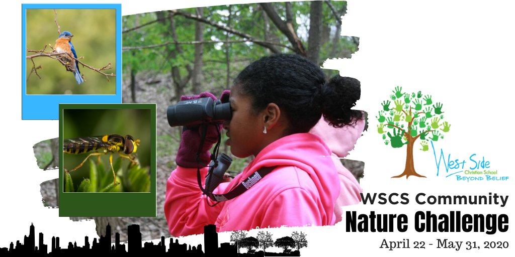 Janet Staal tweet media