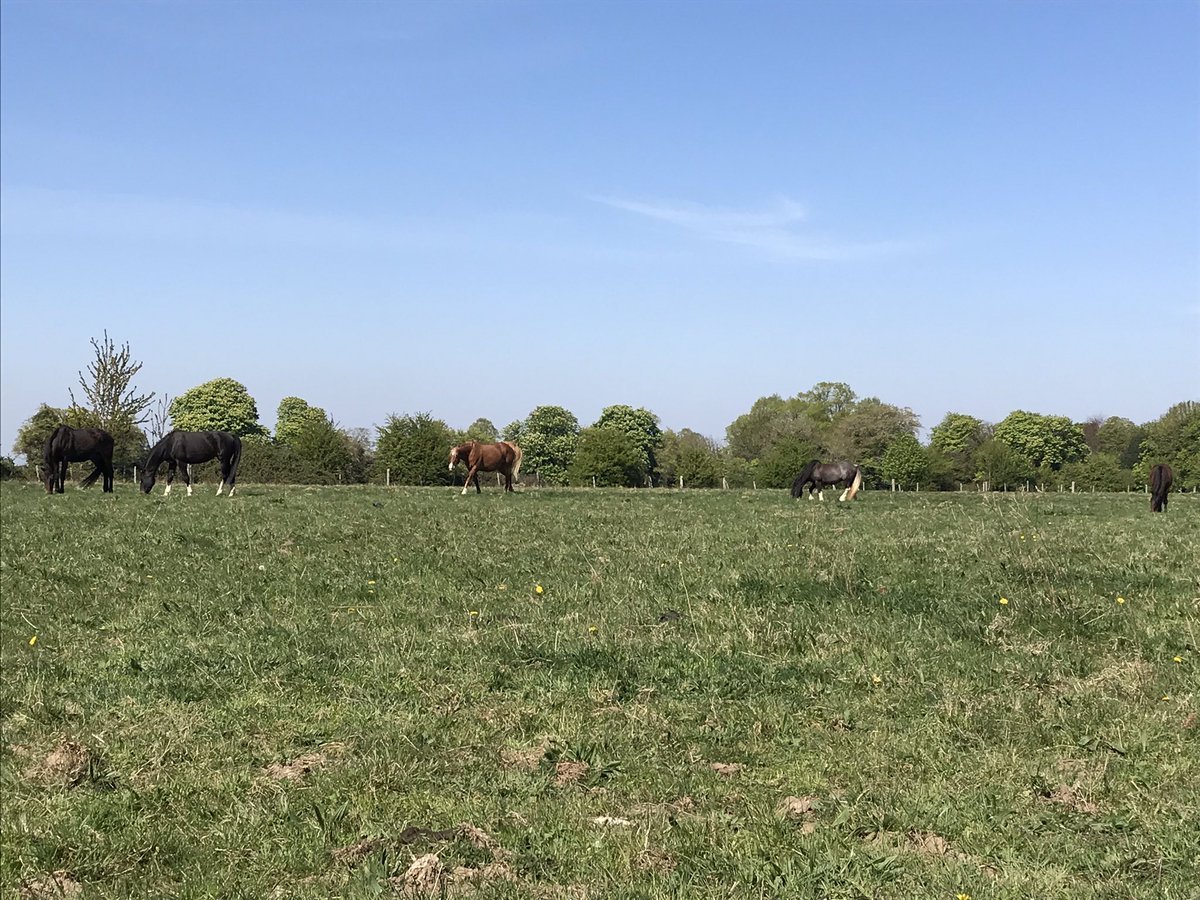 daniel_mathjr's tweet photo. Best place to social distance #8acres https://t.co/Eu3OGta65D